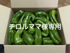 チロルママ様専用