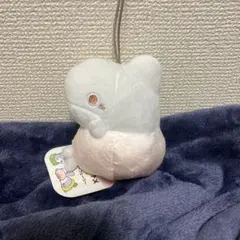 はるか様 リクエスト 2点 まとめ商品