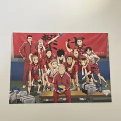 ハイキュー!! ゴミ捨て場の決戦 入場者特典 音駒高校最後の集合写真