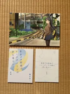 青春ブタ野郎はバニーガール先輩の夢を見ない DVD OVA 全巻セット 全8