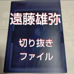 ❰最終値下げ❱【貴重】遠藤雄弥 切り抜きファイル1冊 雑誌19冊分19枚