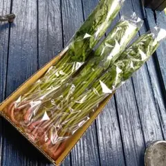 山菜 ミズ 600g 新潟県産 採れたて新鮮発送 - メルカリ