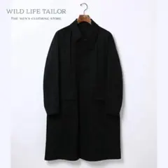 2026年最新】WILD LIFE TAILOR Adam et Rope' メンズ ステンカラー