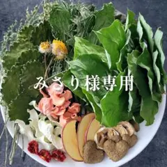 ジュークFAMILYのおやつ】乾燥にんじん葉 25g 小動物 うさぎ チンチラ