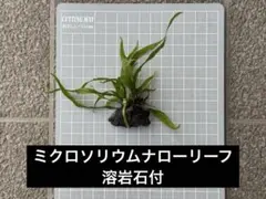 sacla様 リクエスト 2点 まとめ商品