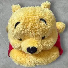 Disney Winnie the Poohくまのプーさん ティッシュケース
