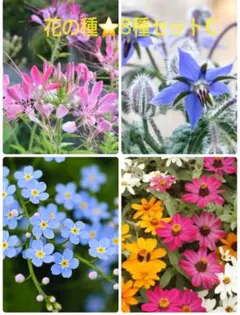 JA M様 リクエスト 2点 まとめ商品