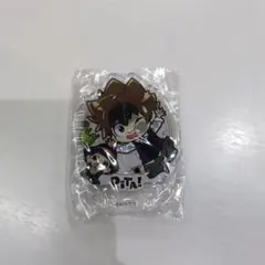家庭教師ヒットマンリボーン　ぴたでふぉめ　沢田綱吉