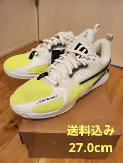 【送料込み】ナイキ ジョーダン エアー PF　27.0cm