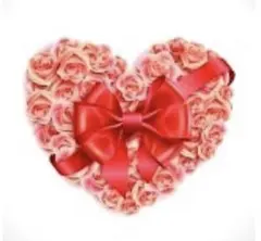 ★リリー様専用★