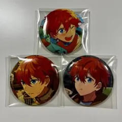 2025年最新】明星スバル イベコレの人気アイテム - メルカリ