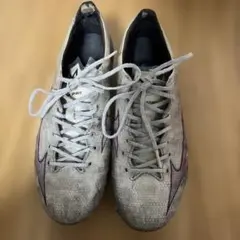 ミズノアルファJapan