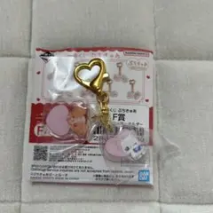 ぷちきゅあ　一番くじ　ツインアクリルキーホルダー　F賞:こむぎ＆ゆき