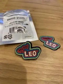 BE:FIRST シリコンピンズ ＋ステッカー セット レオ