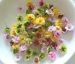 No,434☘️小さなかすみ草のドライフラワー