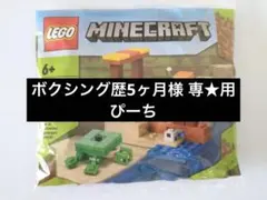 ボクシング歴5ヶ月 様 専★用 ピーチ