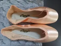 Item thumbnail for item 5c2a873a-815e-4fdd-b6d9-443d98878e37