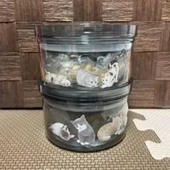 KALDI カルディ　サークルコンテにゃ　ねこの日　2種　クッキー　新品のサムネイル