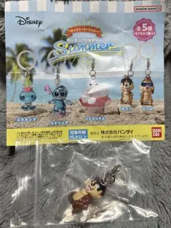 ディズニーキャラクター　めじるしアクセサリー　Summer チップ
