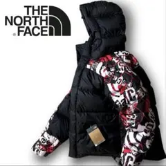 ノースフェイス ダウン XL