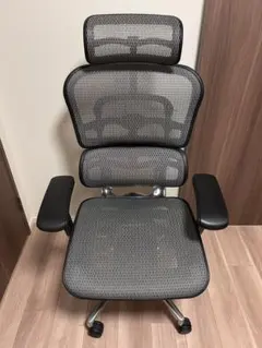 エルゴヒューマン