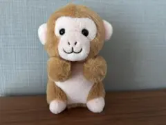 市川市動植物園　ぬいぐるみくじ　ニホンザル　4等
