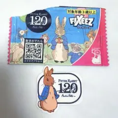 ピーターラビット アイロンシール ワッペン シール ダイソー フィクシーズ