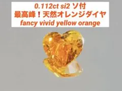 ちょこ♡様専用 黒蝶真珠 オーロララグーン 約9.7mmダイヤ付き