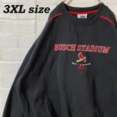 ゆー (複数購入で値引)様 リクエスト 2点 まとめ商品