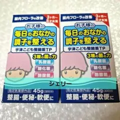 宇津救命丸 宇津こども　整腸薬　 45g×2個　乳酸菌　糖化菌　酪酸菌　便秘
