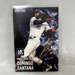 カルビープロ野球チップス2025 サンタナ選手