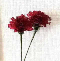 Chico様専用