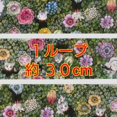 Item thumbnail for item 56de373c-8f56-40ba-a71c-cb91ef23d04b