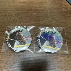 スペシャルウィーク　缶バッジ