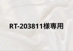RT-203811様専用