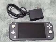 グレー　Nintendo Switch Lite　充電器付き スイッチライト