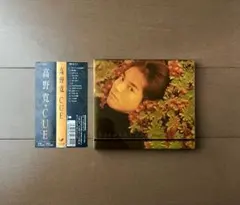 高野寛 CUE LPレコード　トッド・ラングレン プロデュース作品 Amazon.co.jp: 3枚 高野寛CUE,th@nks,Rain or Shineトッド