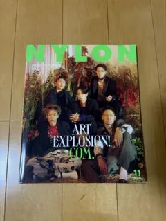 NYLON 11号 ART EXPLOSION!