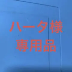 専用品2