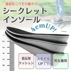 4センチ　シークレットインソール　 男　女　メンズ　レディース　セット
