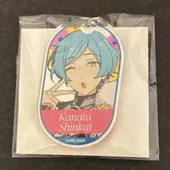 奏汰 あんスタ カラ鉄 コラボ スタフォニ アクリルキーホルダー アクキー