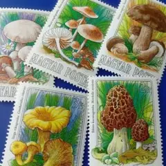 9861 外国切手 ハンガリー 1984年 食用きのこ 5種 凹版