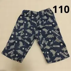 恐竜柄 キッズ ハーフパンツ 園児 110