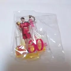 新品未使用　川野琢磨　東京グレートベアーズ　アクスタ　ユニホームVer