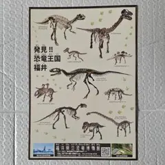 Item thumbnail for item c801bdee-dacd-4678-9214-c59e1e1c8b82