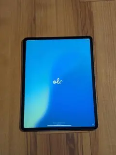 こ*う様 iPad Pro 12.9インチ スペースグレー 歪みあり