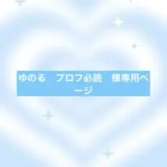 ゆのる　プロフ必読様専用