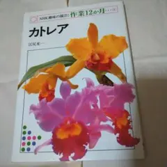 Item thumbnail for item ef438f9f-8cb2-4695-bb54-86844ccde2e3