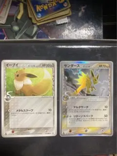 サンダースδ種 イーブイδ種　ホロンの研究塔