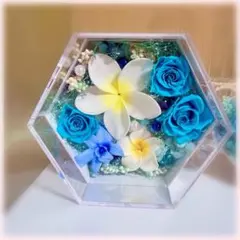 プリザーブドフラワーボックスアレンジメント【フェリーチェ】